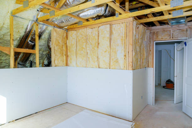 Best Residential Insulation in Shavano Park, TX