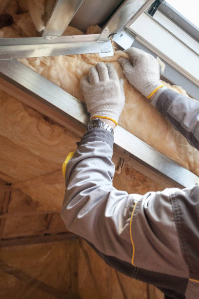 Best Fiberglass Insulation in Shavano Park, TX